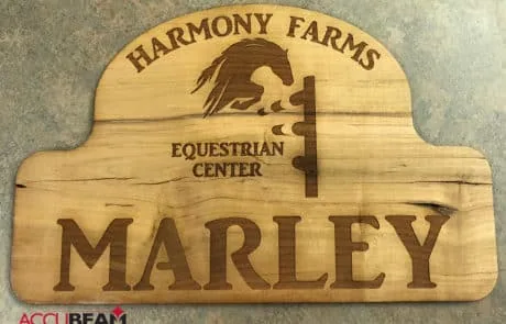 HarmonyMarley